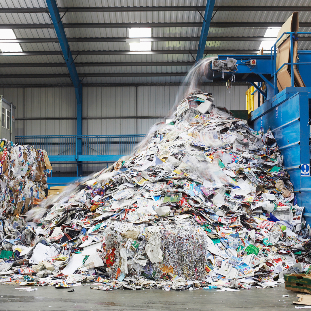 What Is Waste Segregation and Why Does It Matter?